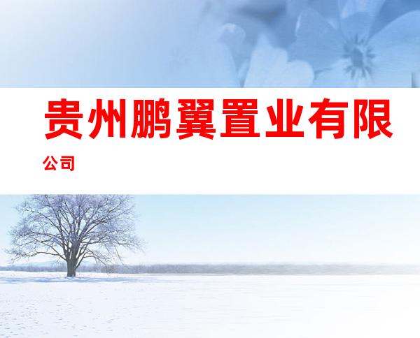 贵州鹏翼置业有限公司
